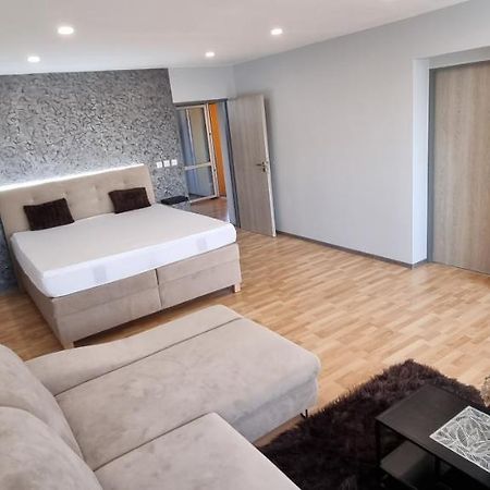 Apartman Viktorie 米库洛夫 外观 照片