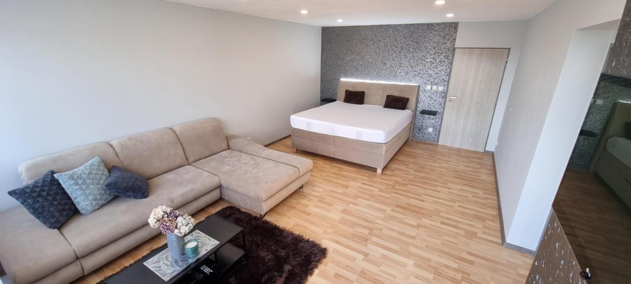 Apartman Viktorie 米库洛夫 外观 照片