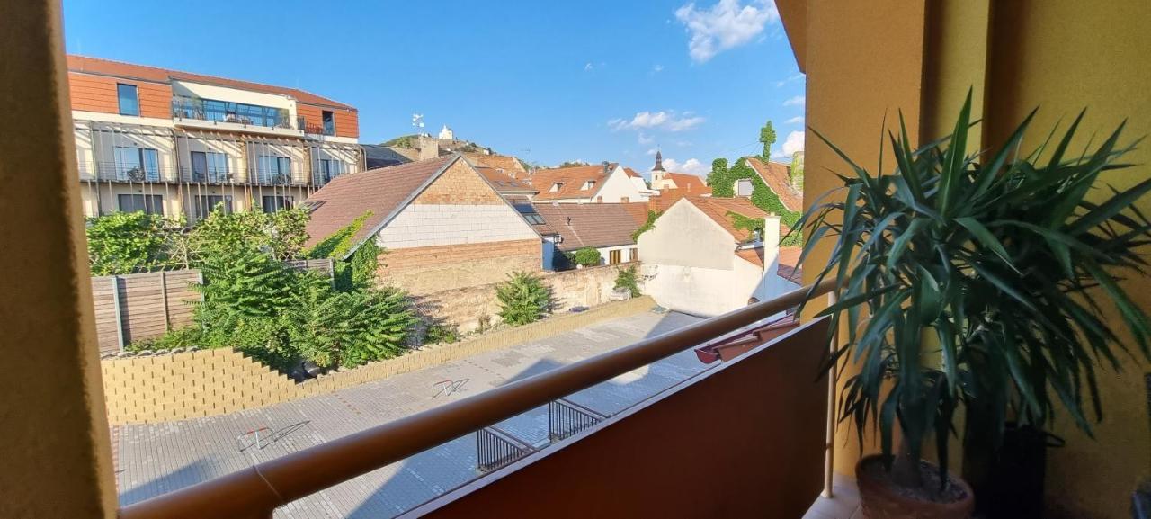 Apartman Viktorie 米库洛夫 外观 照片